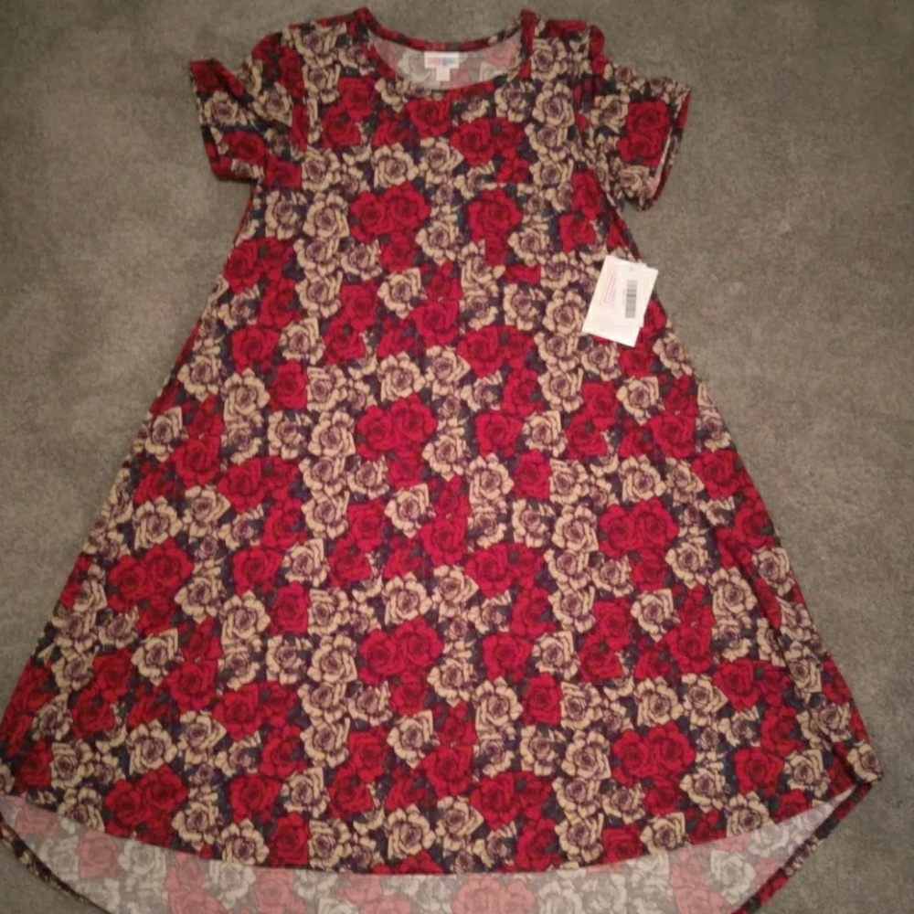 XXS LuLaRoe Carly Dress